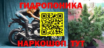 прущая мука Краснокаменск